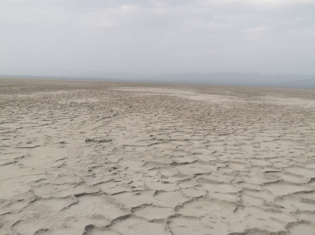 Lucy Ethiopia Tours-亚的斯亚贝巴必去景点