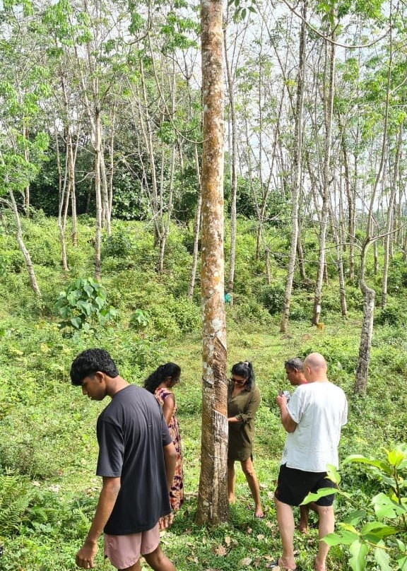 Ranmini Tours Sri Lanka-Udugampola必去景点