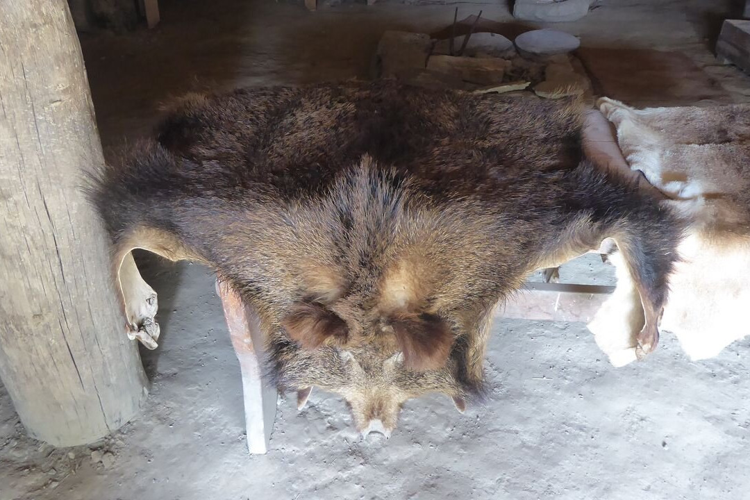 Castell Henllys Iron Age Village-Crymych必去景点