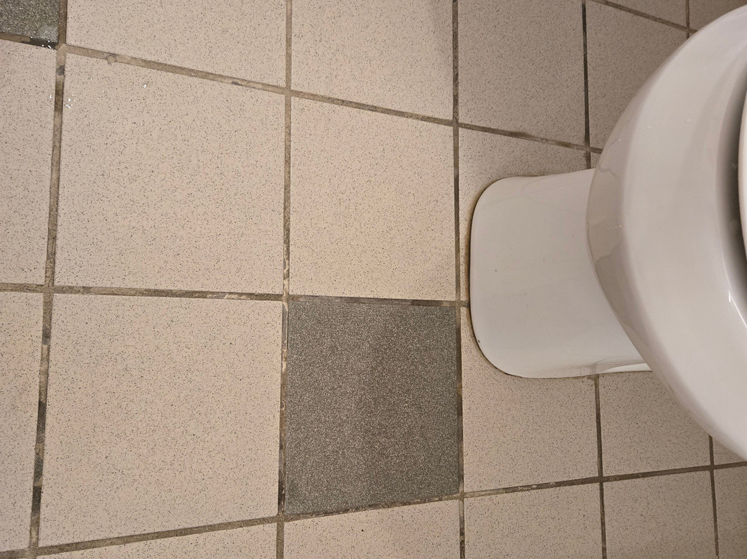 Holiday Inn Express & Suites Columbus OSU-Medical Center by IHG主图