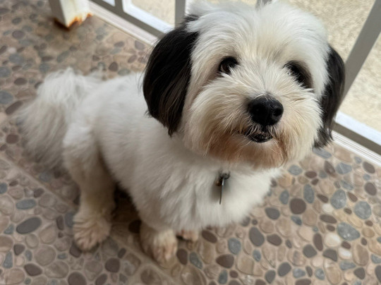 Villa del OZ Resort主图