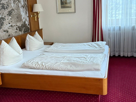 Hotel Der Alpenhof主图