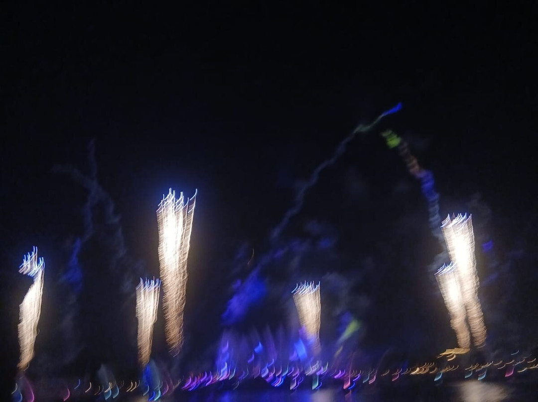 Luminous: The Symphony of Us-Bay Lake必去景点