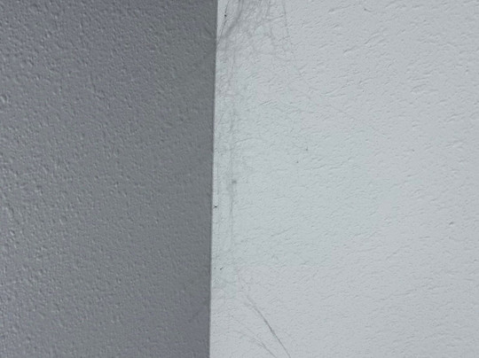 Fairfield Inn & Suites Rockaway主图