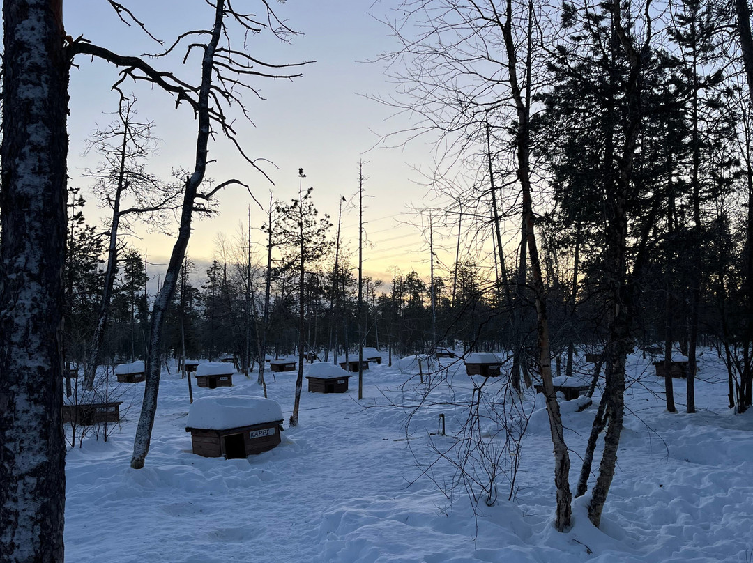 Primitif Aventure-伊瓦洛必去景点