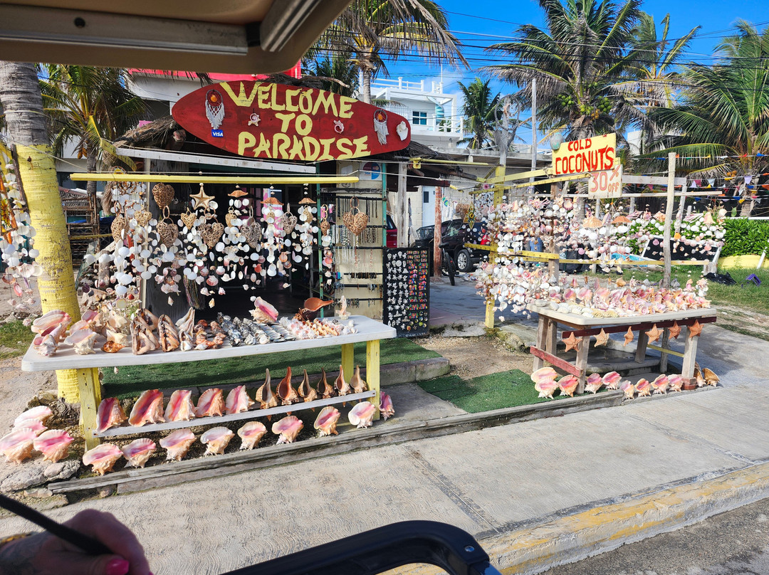 Agence D'excursion en Français Electric Bike Rental-普拉亚德尔卡曼必去景点