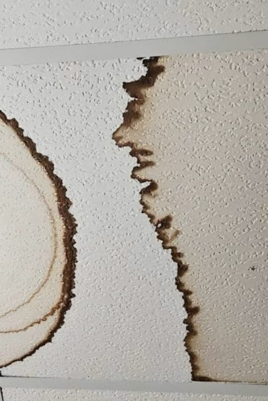 Northern Greens Resort主图