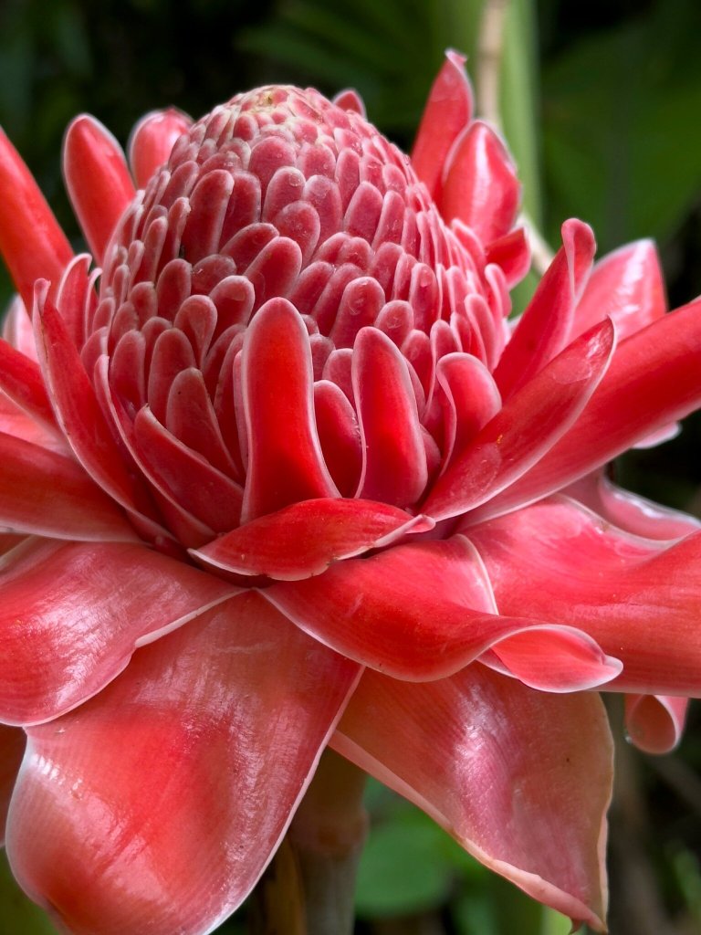 杜马格特亚特兰蒂斯潜水度假酒店-浴室