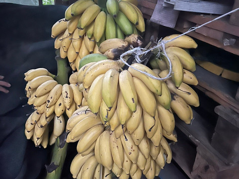 Huatulco Tours And Experiences-瓦图尔科必去景点