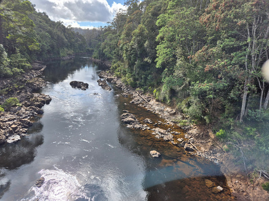 Tall Timbers Adventure Tours-Smithton必去景点