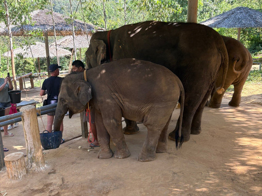Infinity Divers-普吉岛必去景点