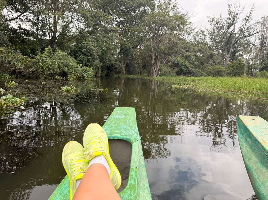 Voyager Sri Lanka by S. P. PATHIRANA (PVT) LTD-Maharagama必去景点