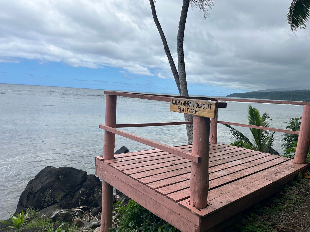 Lavena Coastal Walk-塔韦乌尼岛必去景点
