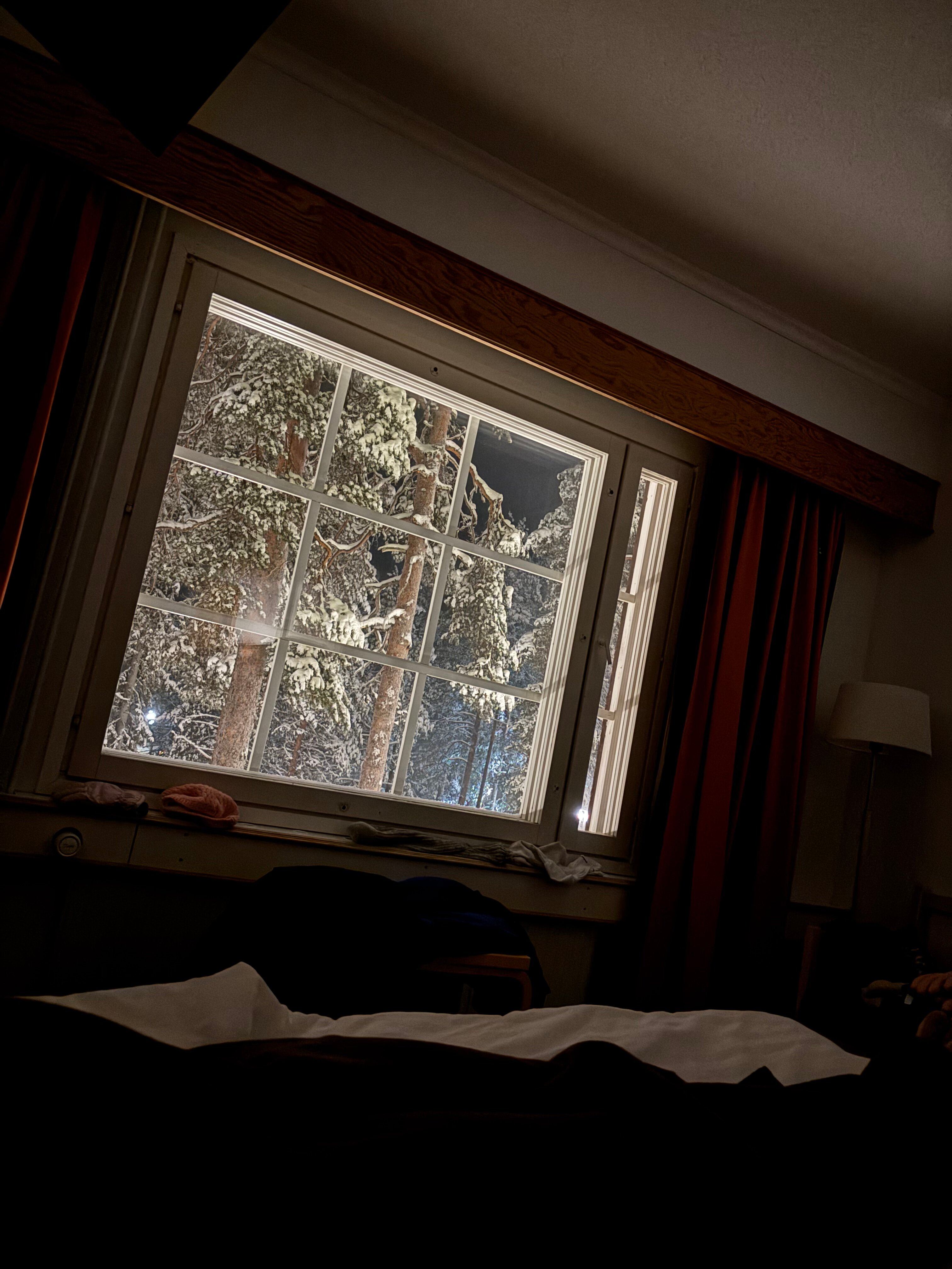 拉普兰熊之家酒店-酒店景观