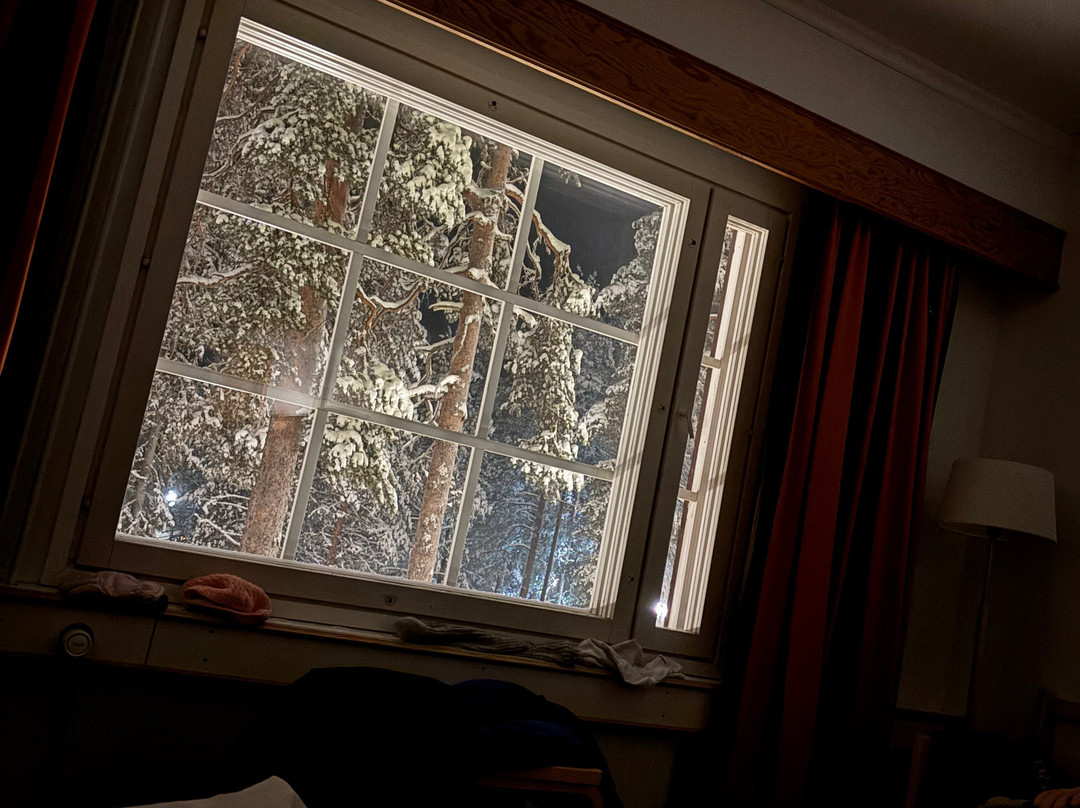 拉普兰熊之家酒店主图