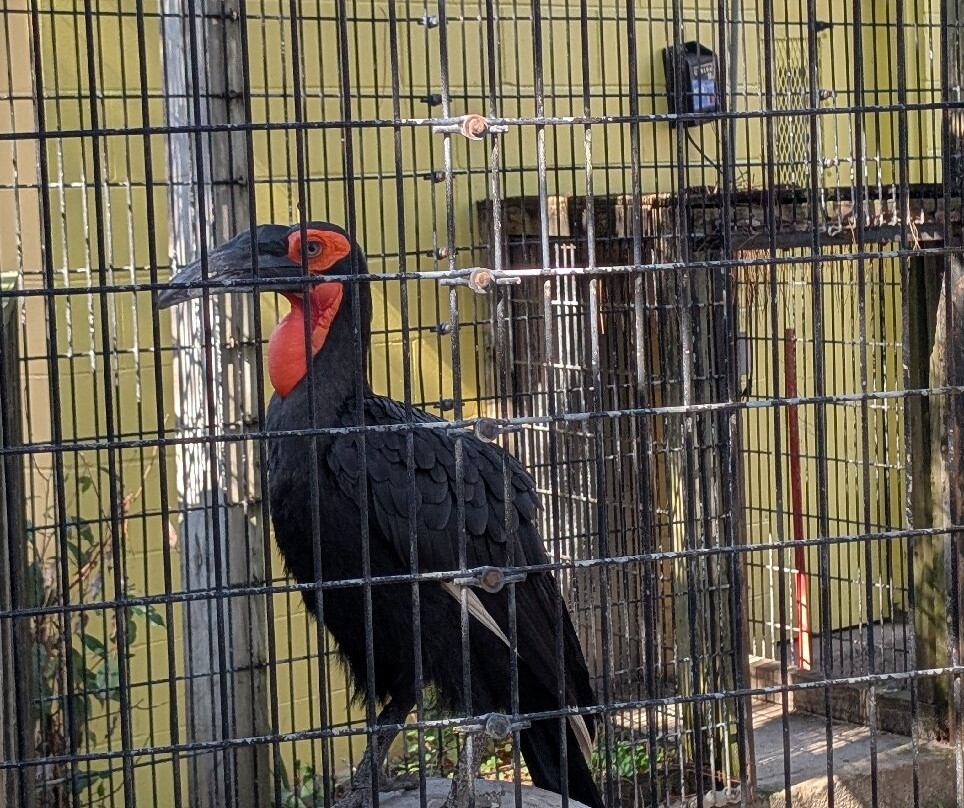 Zoo World Zoological Park-巴拿马城海滩必去景点