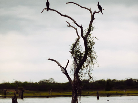 Bañado La Estrella-Las Lomitas必去景点