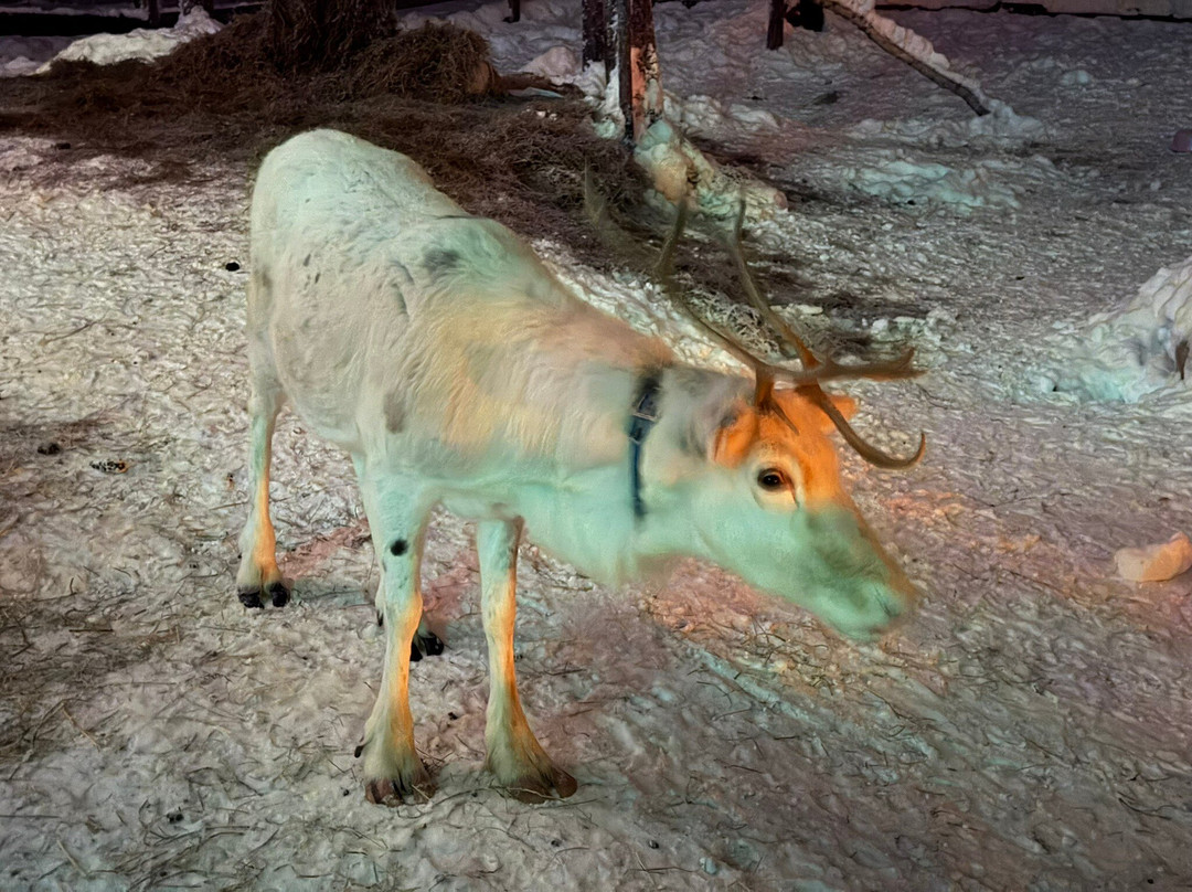 Arcandia-Sirkka必去景点