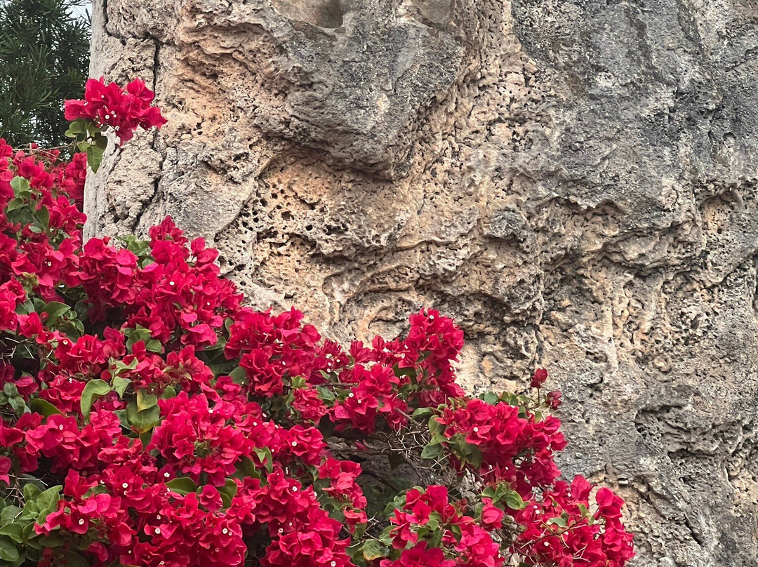 Coral Castle-霍姆斯特德必去景点