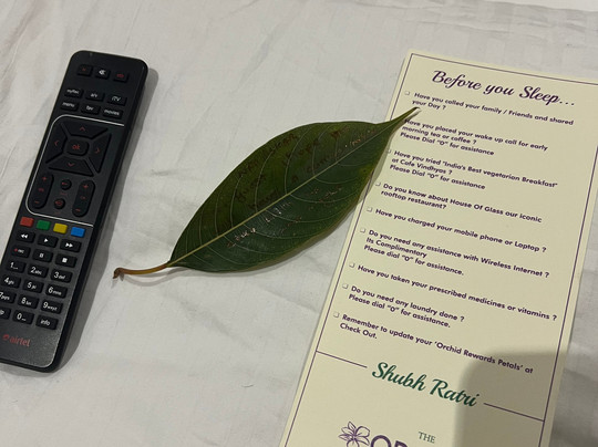 The Orchid Shimla主图