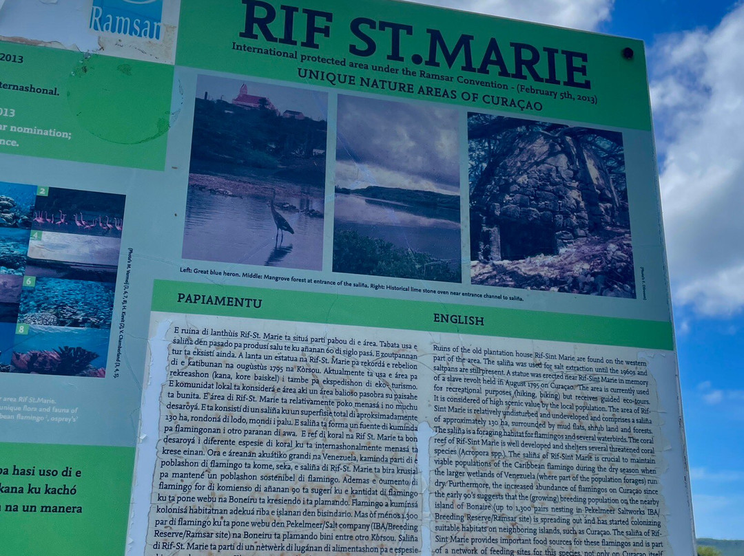 Flamingo Sanctuary Sint Willibrordus-Sint Willibrordus必去景点