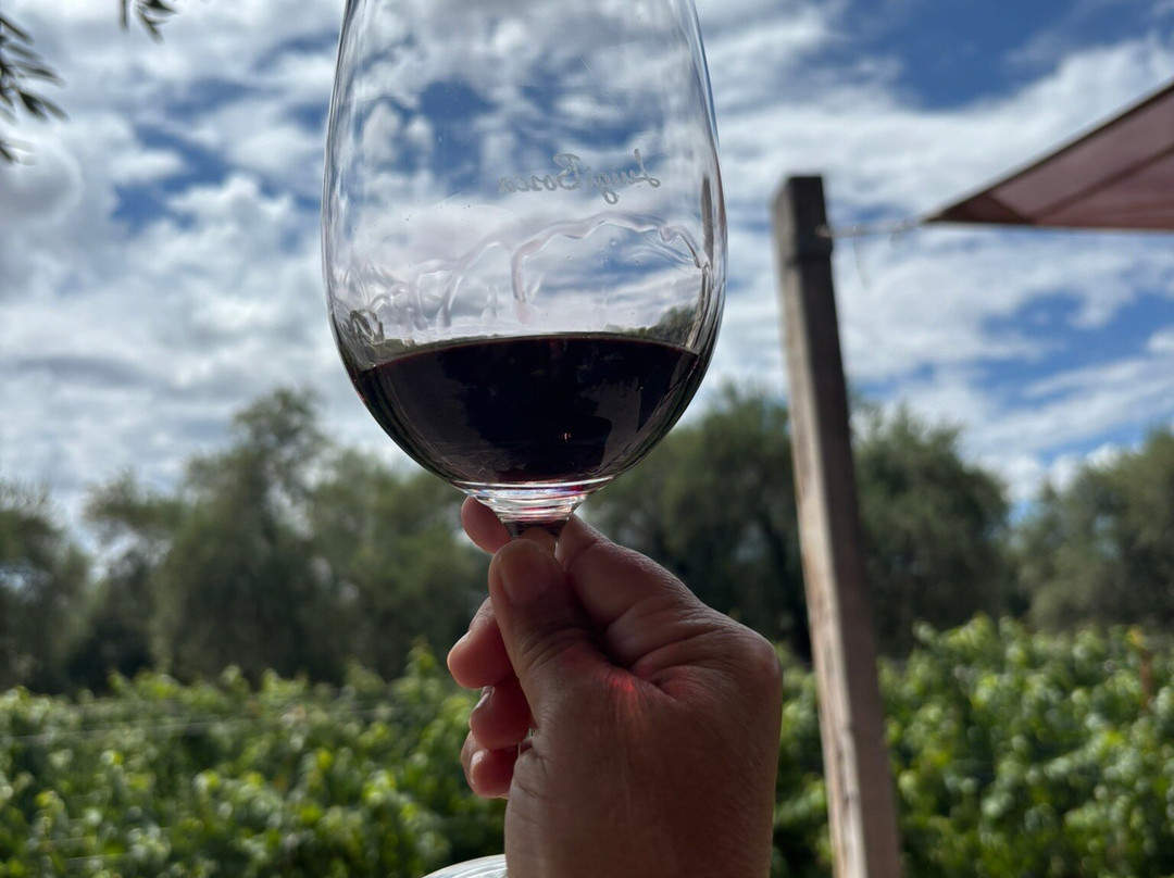 Finca El Paraíso - Bodega Luigi Bosca-Maipu必去景点