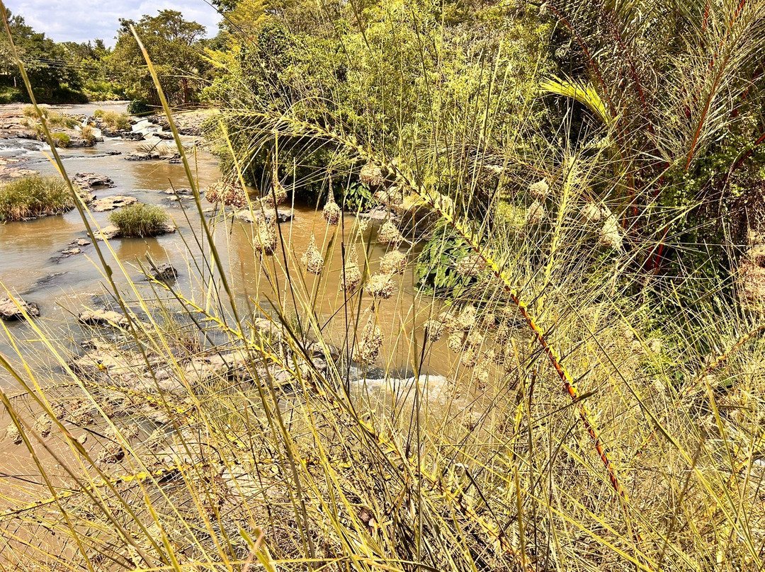 Rapids Camp-Sagana必去景点