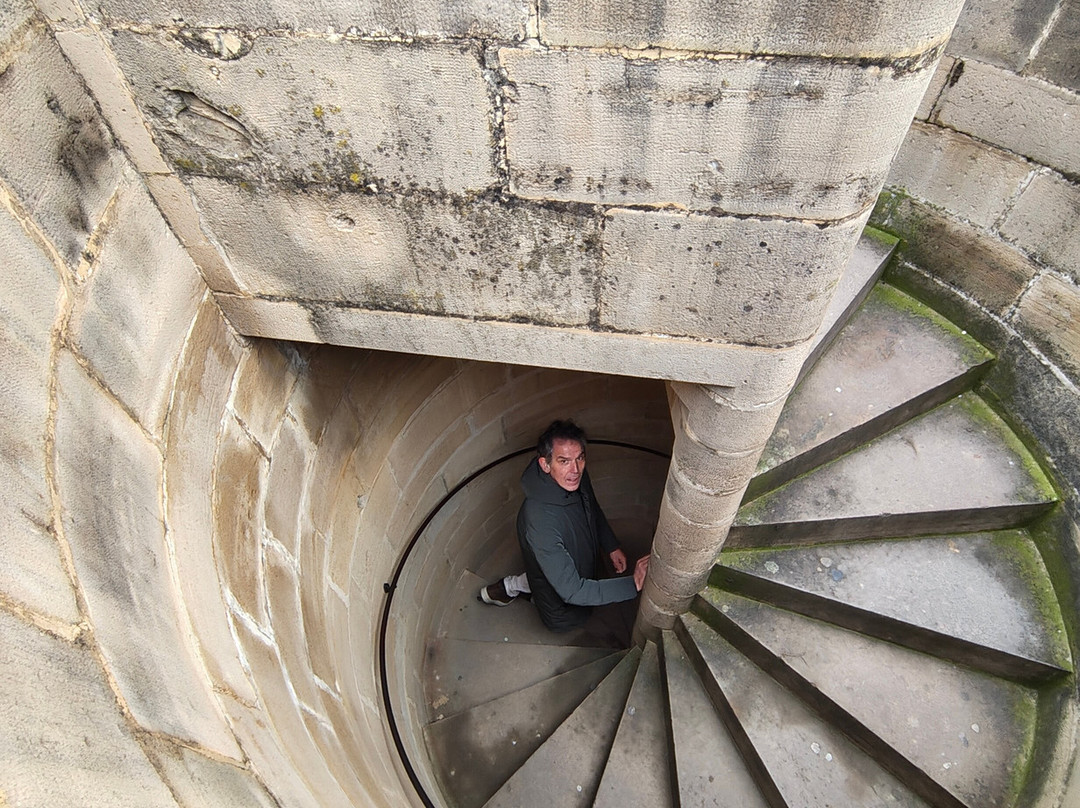 Reyna de Copas Vinoteca-Olite必去景点