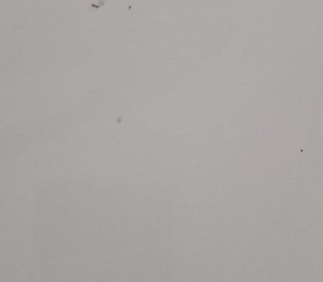 Barton Manor Hotel & Spa主图