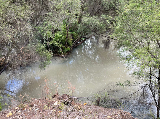 Scott Tours-陶兰加必去景点