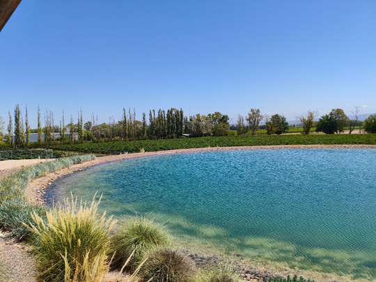 Bodega Budeguer-阿格雷洛必去景点