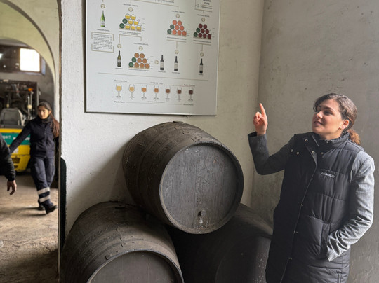 Bodegas Barbadillo-Sanlucar de Barrameda必去景点