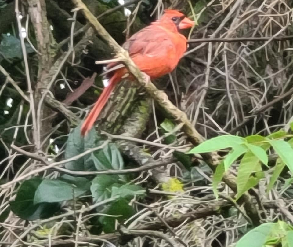 Hampton Inn & Suites Menomonie主图