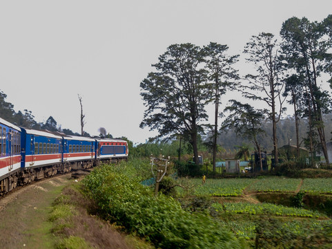 Chavo Tours-埃勒必去景点