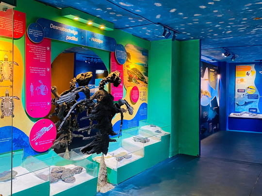 Centro de Investigaciones Paleontologicas - CIP-莱瓦镇必去景点