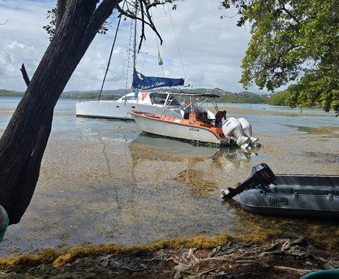 Catamaran Bwa Drese-Le Robert必去景点