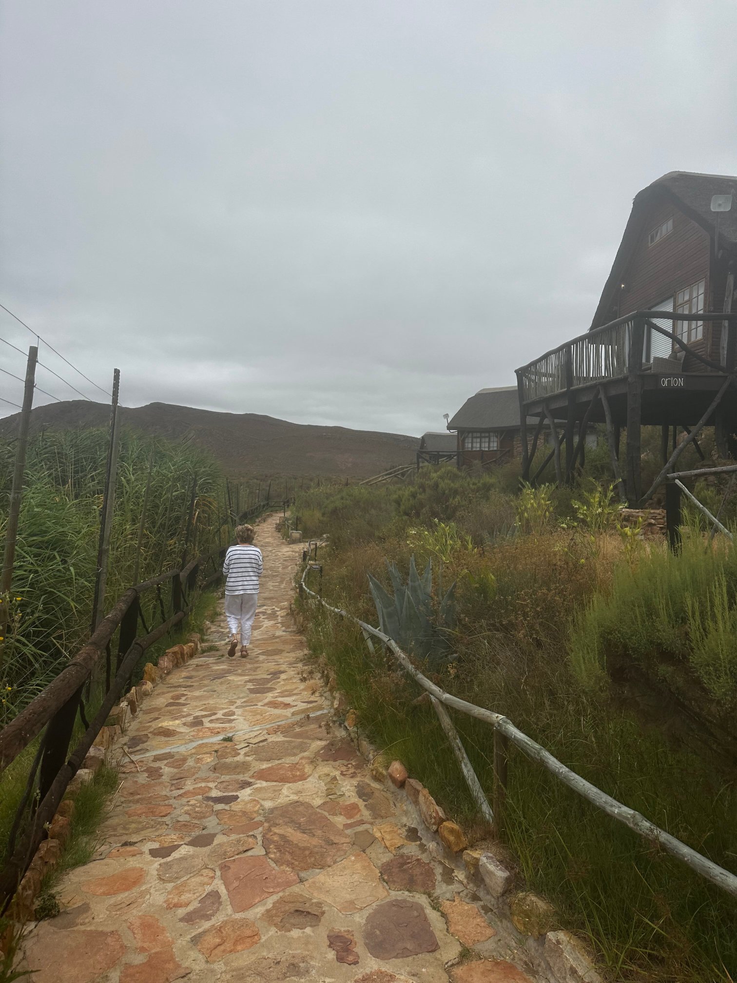 Aquila Private Game Reserve-官方