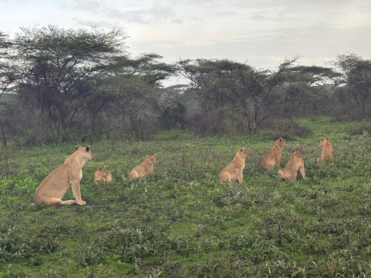 Tanzania Specialist-阿鲁沙必去景点