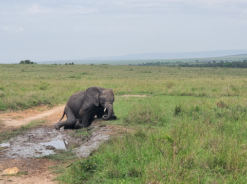 Divulge Adventures-内罗毕必去景点