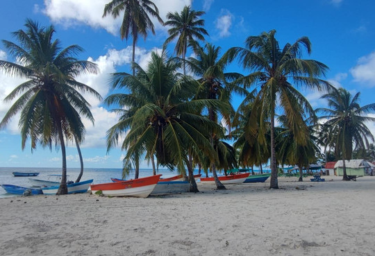 Franconero Escursioni-Bayahibe必去景点