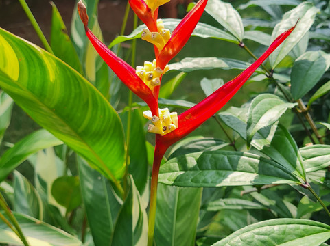 Ayurveda Healing Ashram-提卢湾安塔普兰（特里凡德伦）必去景点