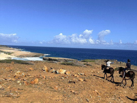Rancho Loco-Santa Cruz必去景点