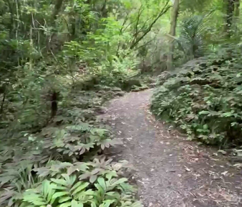 Ruakuri Walk-怀托摩洞穴必去景点