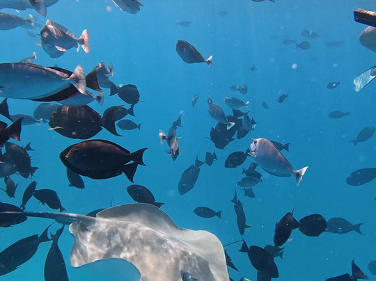 Gaadi Tours-康杜玛岛必去景点