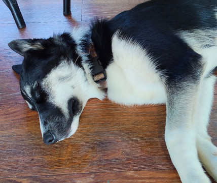 Ash Ridge Wines-黑斯廷斯必去景点