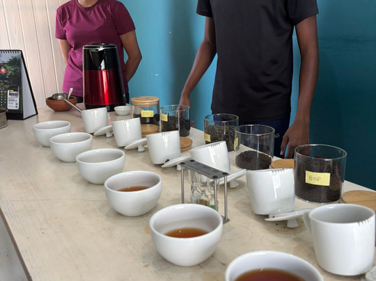 Travelling Thrills Ella-埃勒必去景点