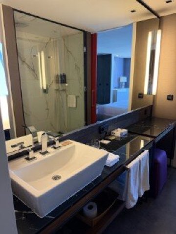Hyatt Centric Montevideo-浴室