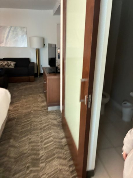 Staybridge Suites St. Petersburg Downtown by IHG-官方