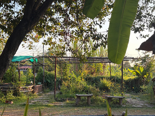 Da's Organic Farm Hut Thai Cooking School-雷沙革必去景点