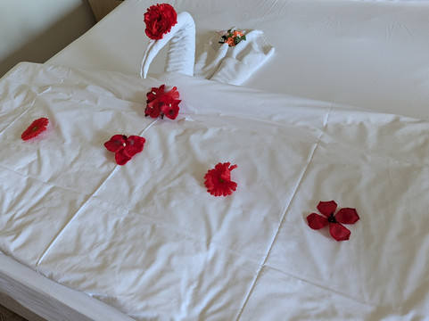 Aydinbey King's Palace & Spa - 超全包主图